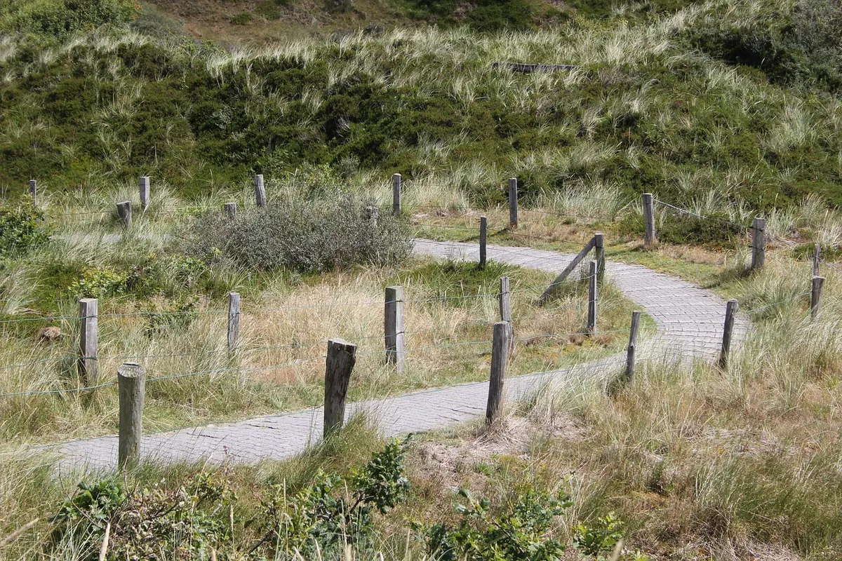 A Local's Guide to UK Coastal Paths: How to Plan a Day Walk with Tide Times