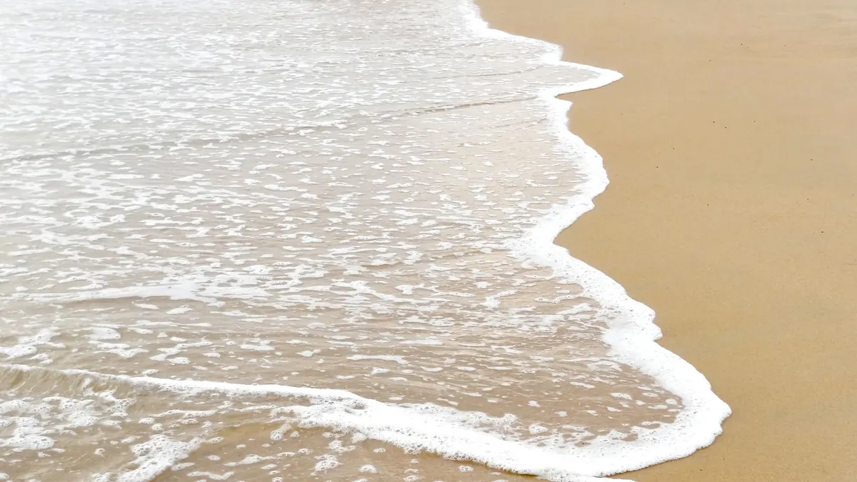 How to Read a Tide Table for a Safe Beach Day: A Beginner's Explainer